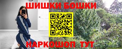 стафф Можга