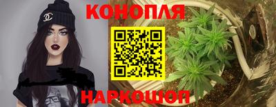 стафф Можга