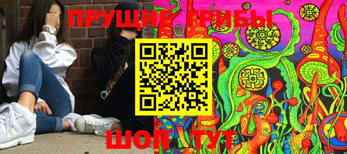 Псилоцибиновые грибы Cubensis  Вход с VPN  Псилоцибиновые грибы Psilocybine cubensis  Усть-Илимск 